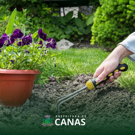 Capacitação em Jardinagem CRAS