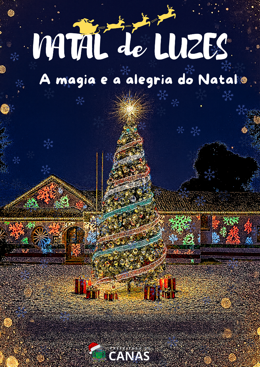 Natal de Luzes em Canas