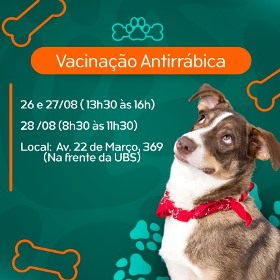 Vacinação Antirrábica em Canas