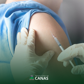 Informe Dia D contra Febre Amarela