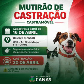 Mutirão de castração com microchipagem