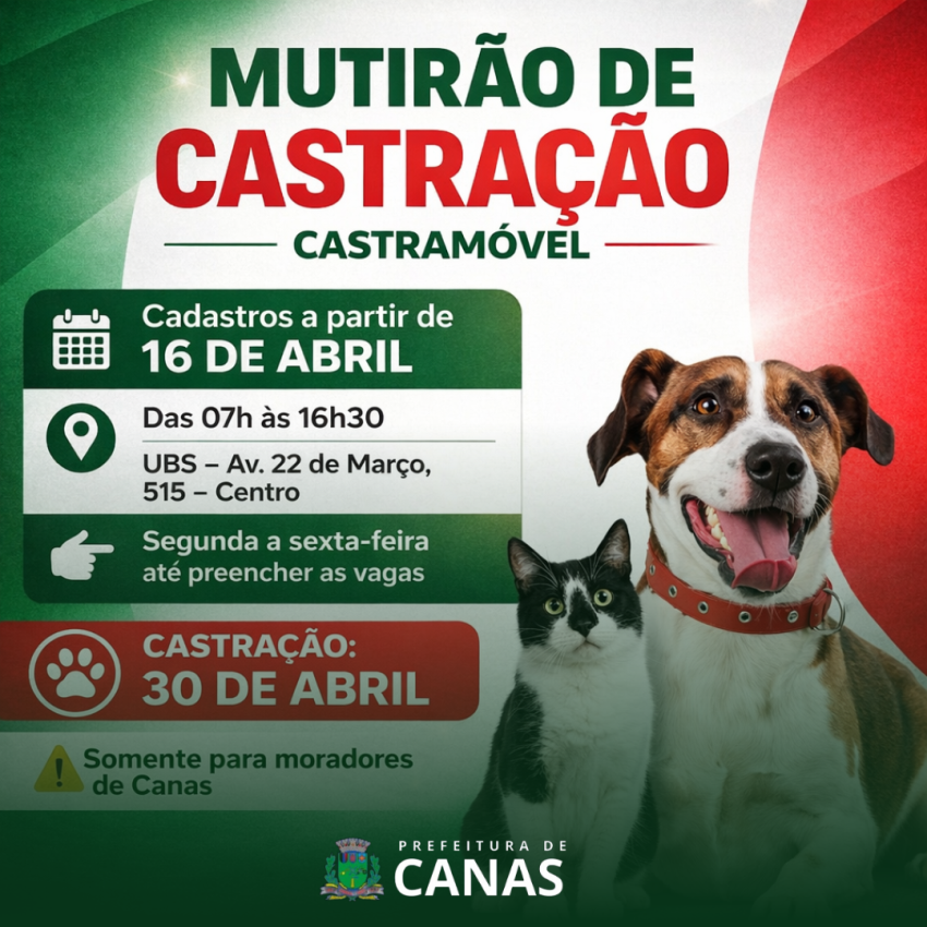 Mutirão de castração com microchipagem
